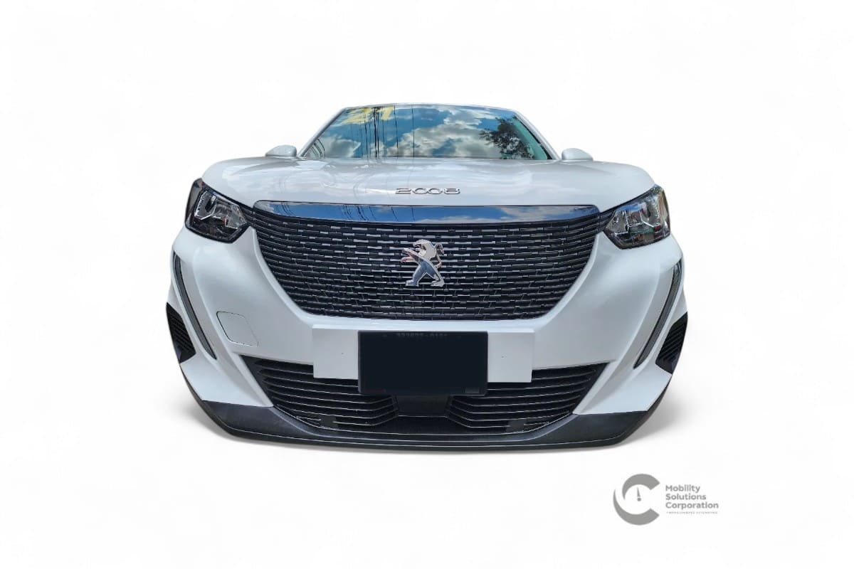 Auto 1
